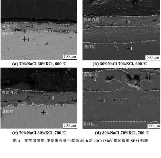 在不同溫度、不同混合鹽中腐蝕６０h后１２Cr１MoV鋼的截面SEM 形貌