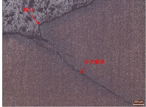 擴展區(qū)縱橫截面金相組織