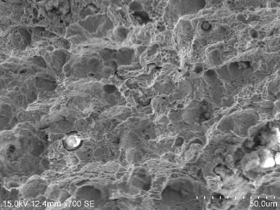 沖擊模擬斷口微觀形貌，韌窩特征