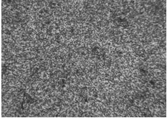 60Si2MnA原材料金相組織400&times;