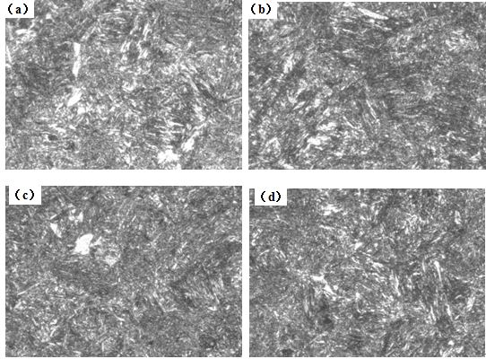 圖12-15 （a、b、c、d） 1～4號(hào)樣金相組織 500&times;
