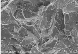圖12-63 擴(kuò)展區(qū)斷口微觀形貌。