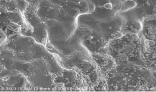 圖13-89 斷面圓弧區(qū)微觀形貌