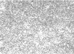 圖5-8 1Cr12Ni2WMoVNb螺栓淬火回火金相組織 200&times;