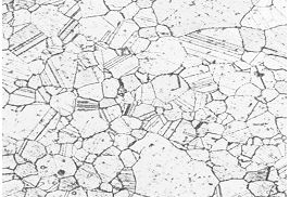 圖5-22 GH738螺栓固溶時效金相組織100&times;