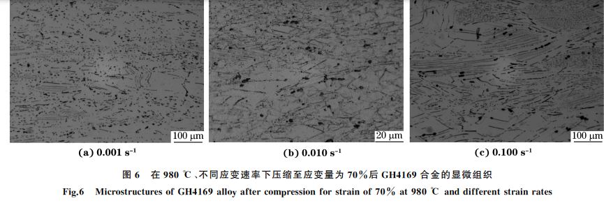 圖６ 在９８０ ℃、不同應變速率下壓縮至應變量為７０％