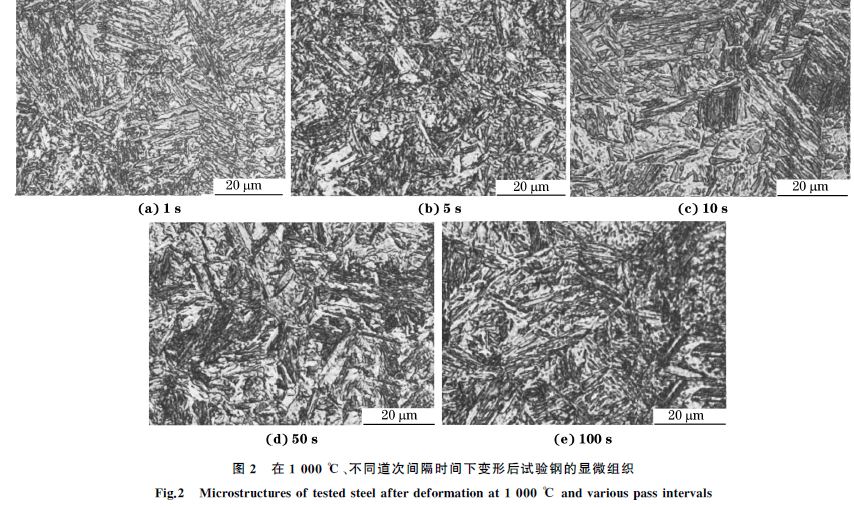 圖２ 在１０００ ℃、不同道次間隔時(shí)間下變形后試驗(yàn)鋼的顯微組織