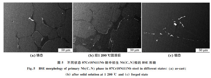 圖5 不同狀態(tài)07Cr18Ni11Nb鋼中初生 Nb(C，N)相的 BSE形貌